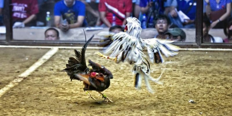 789win91 ﻿đăng nhập lô đề uy tín