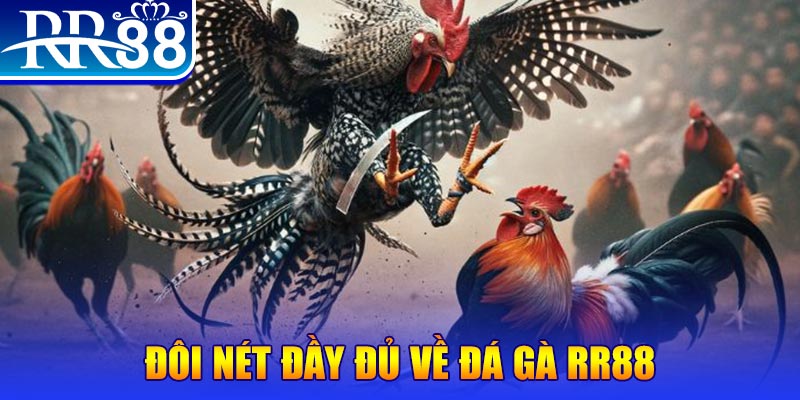 789win91 gà chọi hoà phong