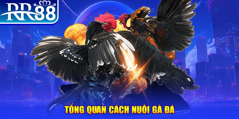 789win91 xổ số thứ ba