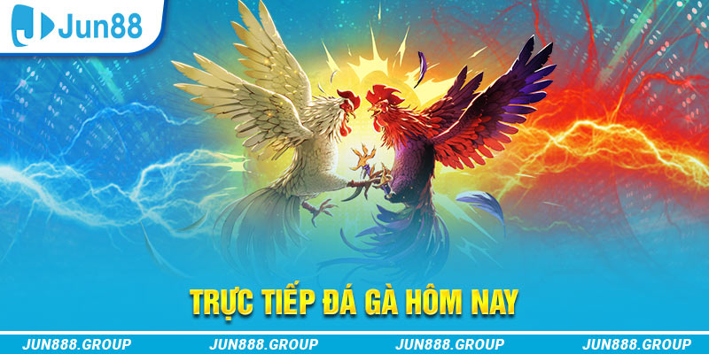 789win91 trực tiếp đá gà thomo