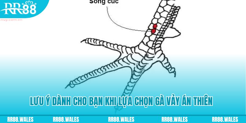 789win91 xổ số khánh hòa