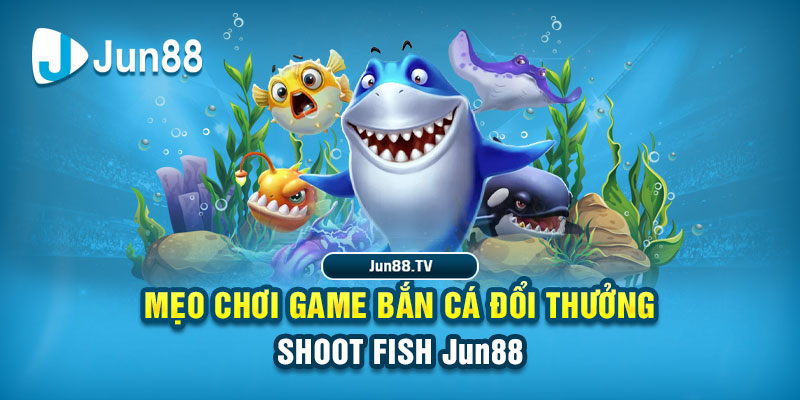 789win91 tải game đánh bài online về máy tính