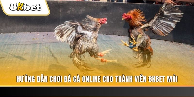 789win91 nổ hũ đổi thưởng . ai