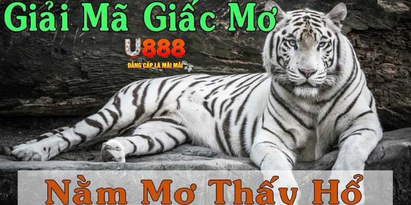 789win91 Bài Poker Joker