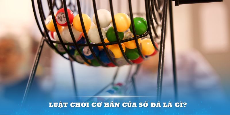 789win91 Đĩa màu ace