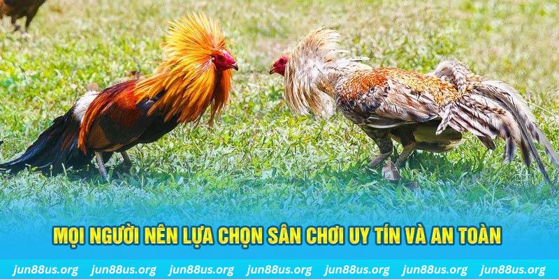 789win91 Tài Xỉu