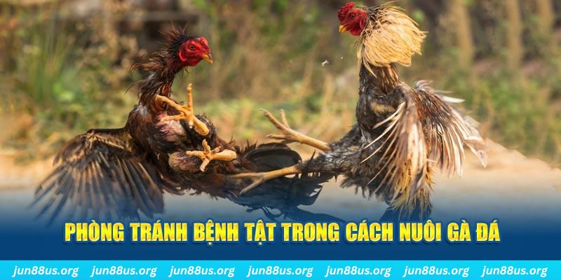 789win91 natural” trong baccarat nghĩa là gì？