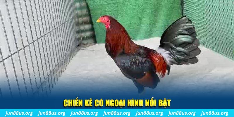 789win91 nhạc slot là gì